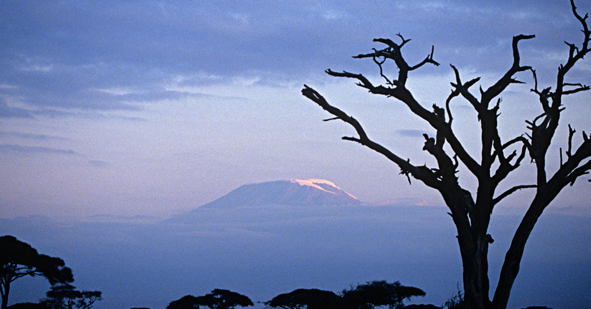 Kilimanjaro