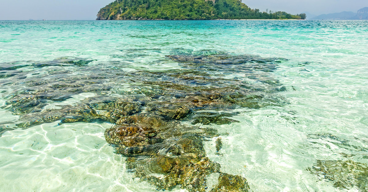 Billiga flyg till Krabi från 5 717 kr Flygresor.se