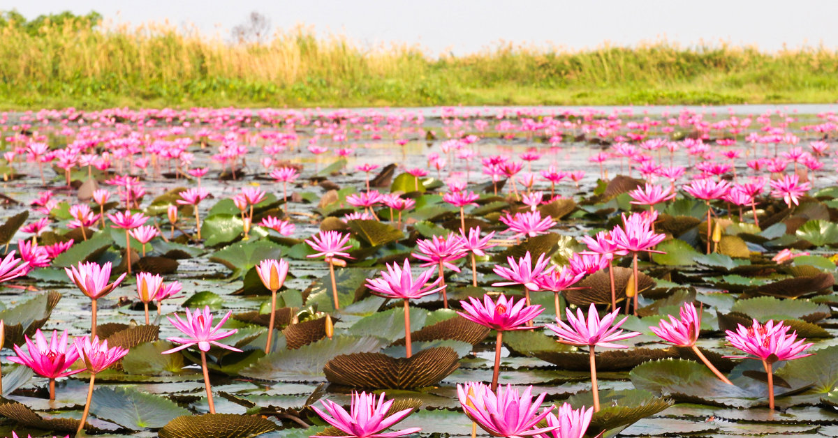 Udon Thani